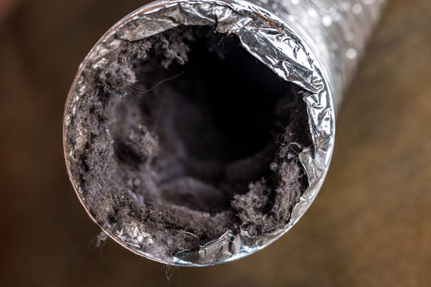 Best Air Vent Cleaning Services  in Edgerton, OH
