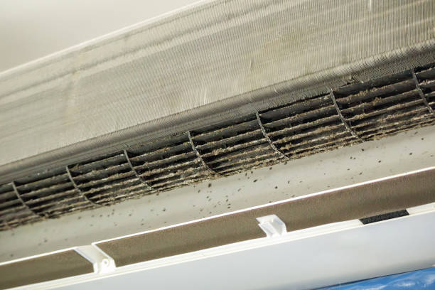 Best Local Air Duct Cleaning Services  in Edgerton, OH